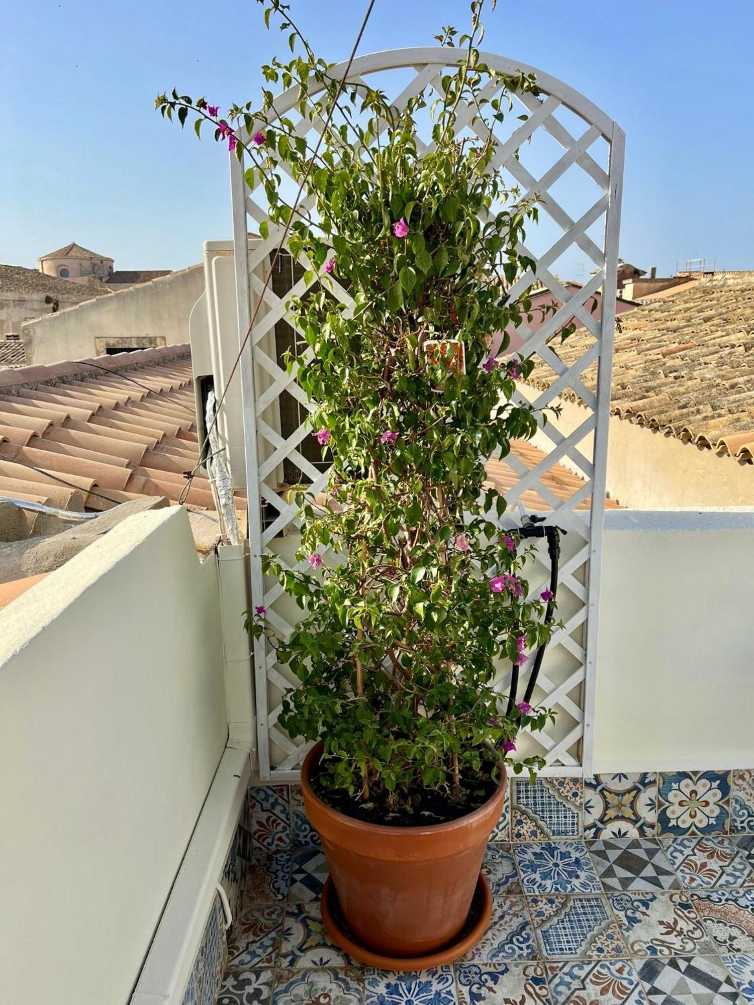 Incantevole Appartamento In Palazzo Storico Ortigia 锡拉库扎 外观 照片